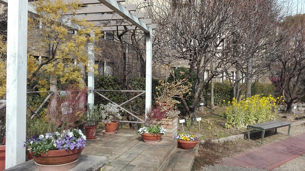 160212　大学・Ａ岡Ｗ邊 (4)