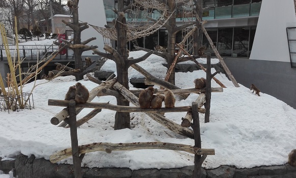 160314 札幌3日目 (5) 160314 札幌3日目 (5)