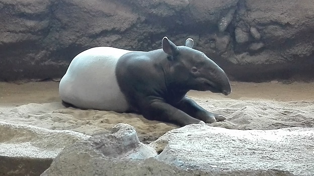 160314 札幌3日目 (6) 160314 札幌3日目 (6)