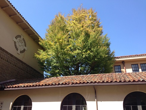 140923 大学 (1) 140923 大学 (1)