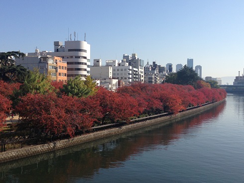141122 保育実践交流・障害者9・25条の会 (3) 141122 保育実践交流・障害者9・25条の会 (3)