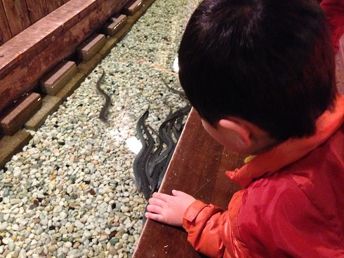 141228 春子・史生と (2) 141228 春子・史生と (2)