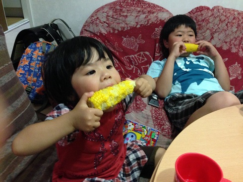 150524 新参ズ・とうもろこし (2) 150524 新参ズ・とうもろこし (2)