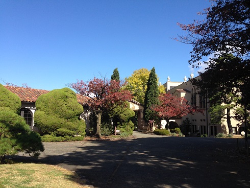 151103 大学散歩と一風堂 (14) 151103 大学散歩と一風堂 (14)