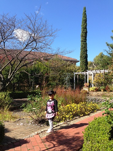 151103 大学散歩と一風堂 (27) 151103 大学散歩と一風堂 (27)