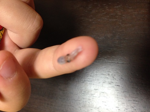 151119 ちりもん・大学 (8) 151119 ちりもん・大学 (8)