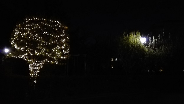 151130 大学クリスマス (2) 151130 大学クリスマス (2)