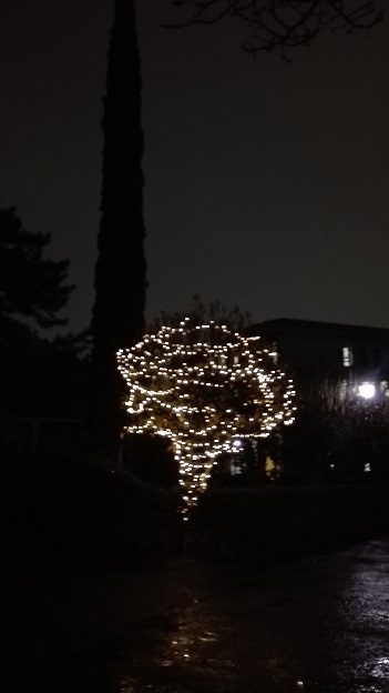 151215 夜の大学 (3) 151215 夜の大学 (3)