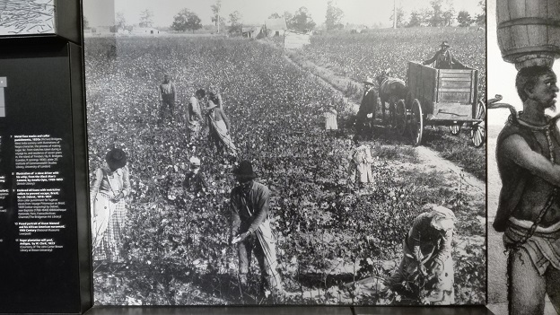 160327 イギリス2日目・朝昼 (19) 160327 イギリス2日目・朝昼 (19)