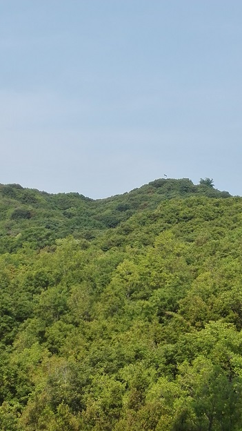 160522 フレッシュマン・キャンプ2日目 (2) 160522 フレッシュマン・キャンプ2日目 (2)