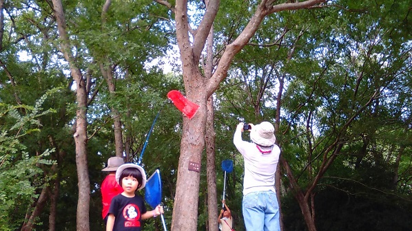 160815 西田先生と虫取り (3) 160815 西田先生と虫取り (3)