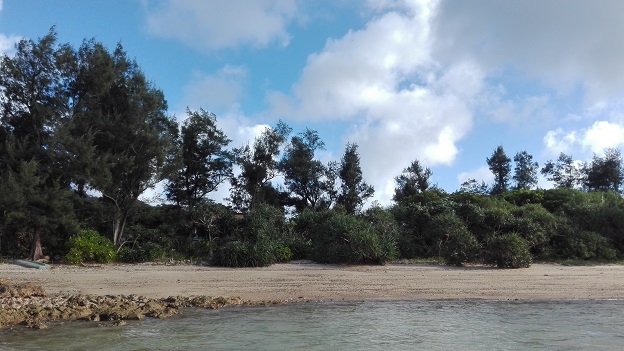 160824 奄美大島2日目 (23) 160824 奄美大島2日目 (23)