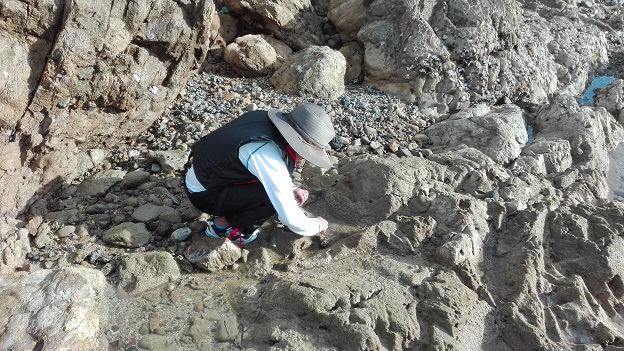 160824 奄美大島2日目 (36) 160824 奄美大島2日目 (36)