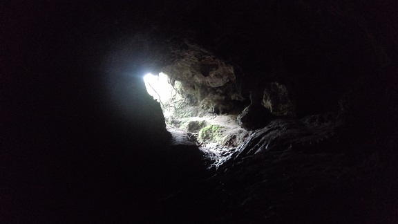 180904 沖縄2日目 (53) 180904 沖縄2日目 (53)