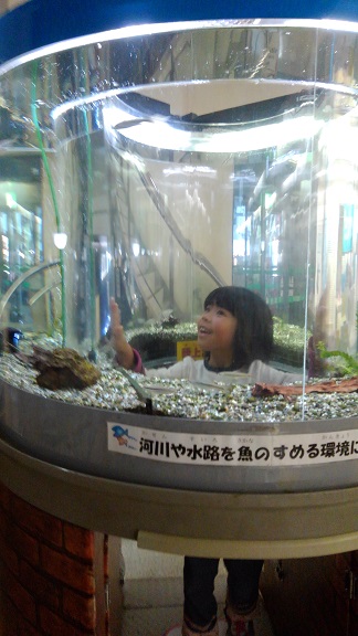 181223 妹新参・立ち読み・水族 (8) 181223 妹新参・立ち読み・水族 (8)