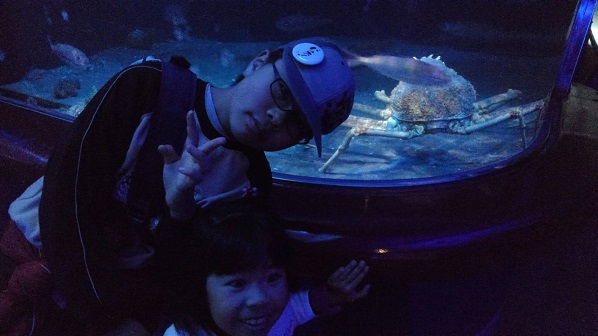 190127 須磨水族園 (3) 190127 須磨水族園 (3)
