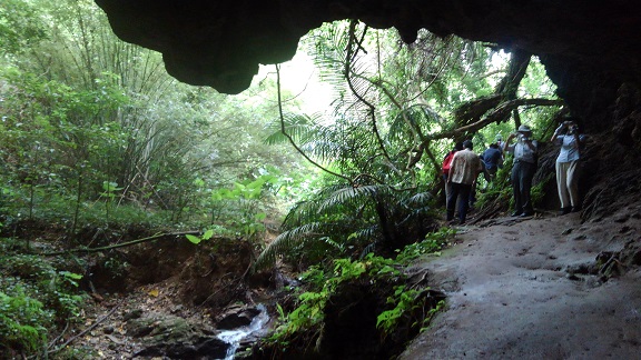 180904 沖縄2日目 (53) 180904 沖縄2日目 (53)