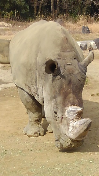 190218　姫路２日目 (55)