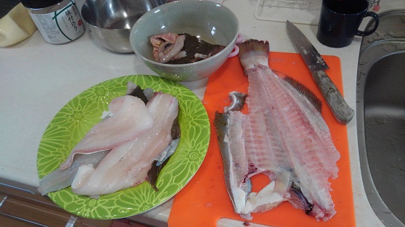 190309 寒ヒラメ (8) 190309 寒ヒラメ (8)