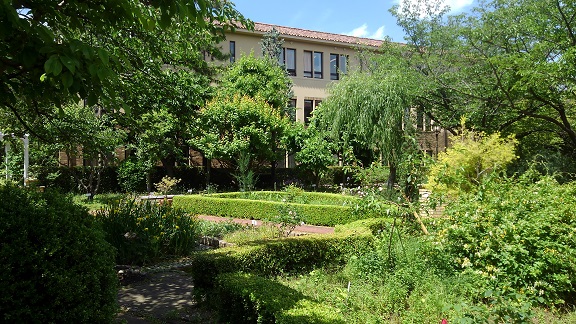 190521 大学 (5) 190521 大学 (5)