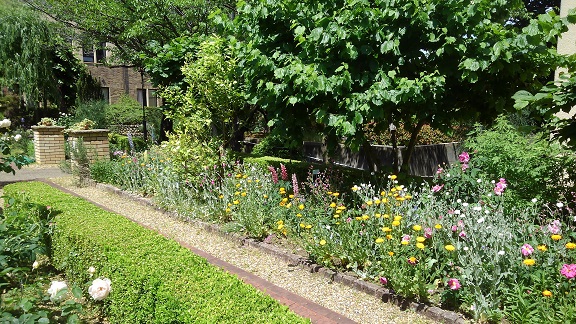 190521 大学 (5) 190521 大学 (5)