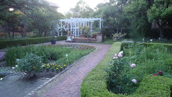 190524 大学 (8) 190524 大学 (8)