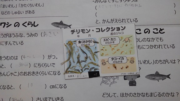 190608 全商連広島 (7) 190608 全商連広島 (7)