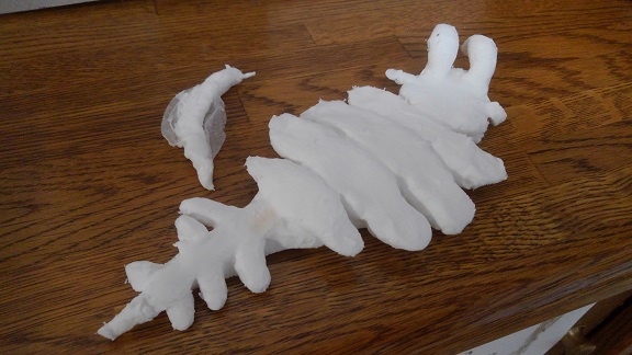 190811 妹新参アノマロカリス (2) 190811 妹新参アノマロカリス (2)