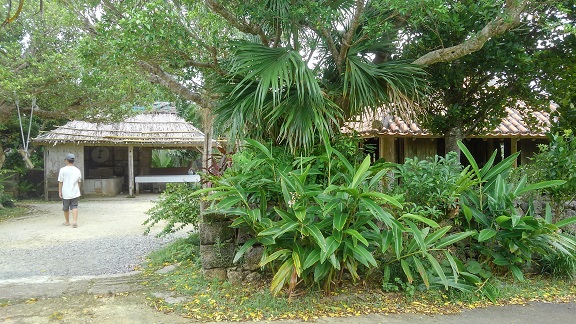 190824 石垣島初日 (36) 190824 石垣島初日 (36)