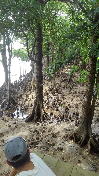 190824 石垣島初日 (50) 190824 石垣島初日 (50)
