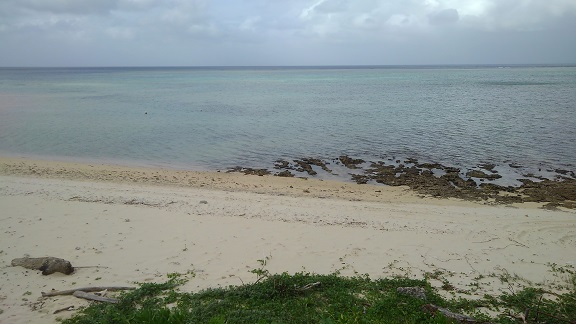 190824 石垣島初日 (50) 190824 石垣島初日 (50)