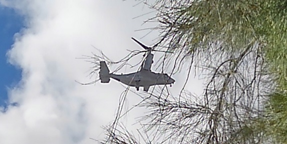 190910 沖縄2日目 (67) 190910 沖縄2日目 (67)