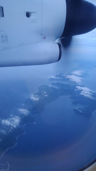 190526 うみたまご・高崎山 (31) 190526 うみたまご・高崎山 (31)