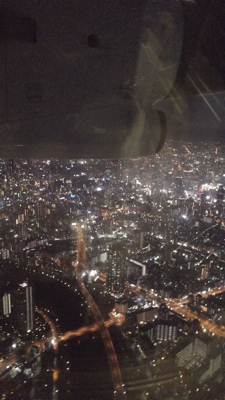 190526 うみたまご・高崎山 (31) 190526 うみたまご・高崎山 (31)