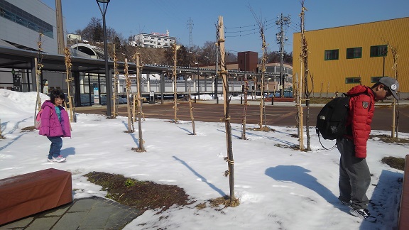 190315 ゴクラク4日目 (7) 190315 ゴクラク4日目 (7)