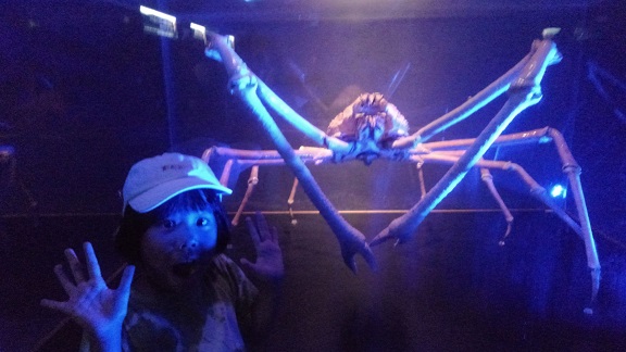 190804 妹新参・須磨水族園 (6) 190804 妹新参・須磨水族園 (6)