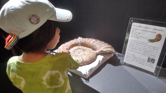 190804 妹新参・須磨水族園 (14) 190804 妹新参・須磨水族園 (14)