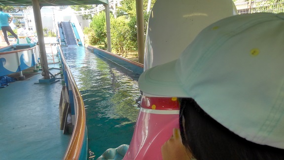 190804 妹新参・須磨水族園 (37) 190804 妹新参・須磨水族園 (37)