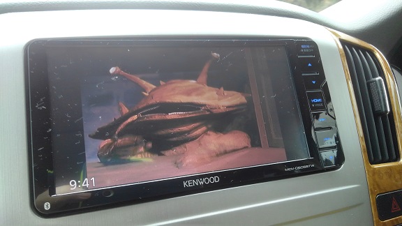 190816 境港初日1 (9) 190816 境港初日1 (9)