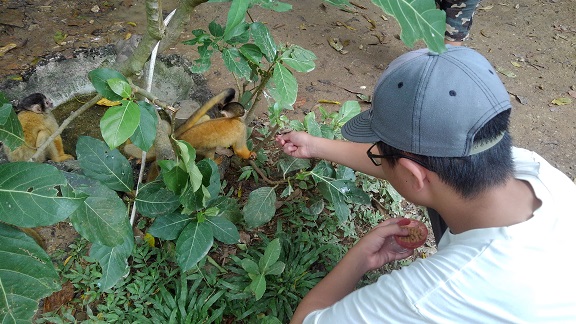 190824 石垣島初日 (50) 190824 石垣島初日 (50)