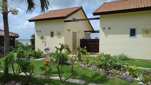 190825 石垣島2日目 (16) 190825 石垣島2日目 (16)