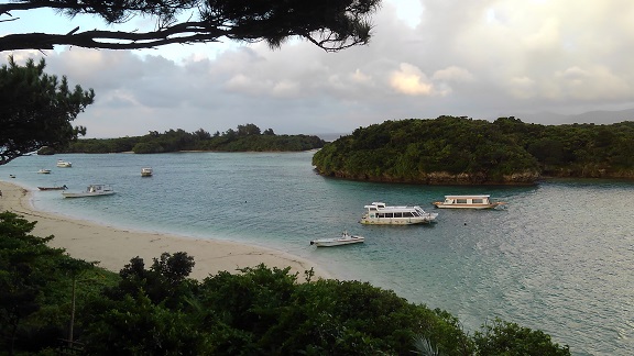 190825 石垣島2日目 (37) 190825 石垣島2日目 (37)