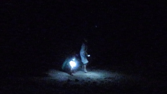 190825 石垣島2日目 (37) 190825 石垣島2日目 (37)