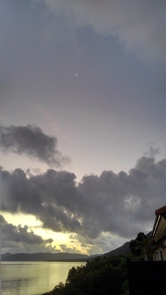 190827 石垣島最終日 (4) 190827 石垣島最終日 (4)