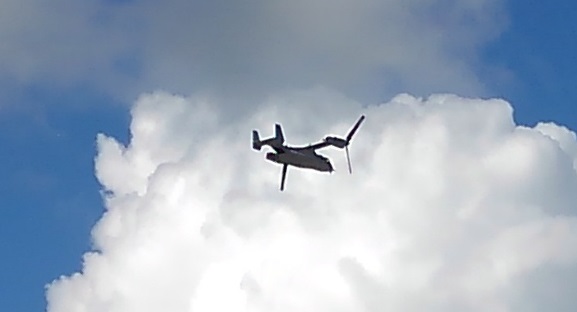 190910 沖縄2日目 (67) 190910 沖縄2日目 (67)