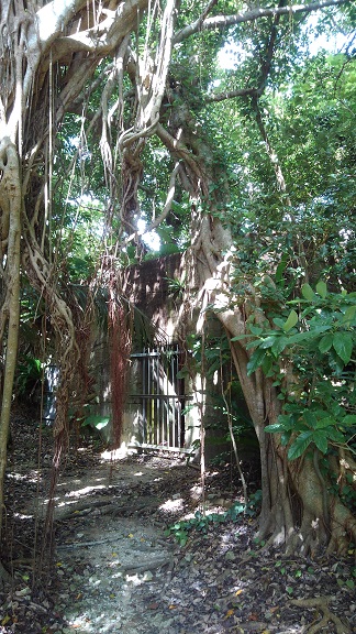 190912 沖縄4日目 (24) 190912 沖縄4日目 (24)