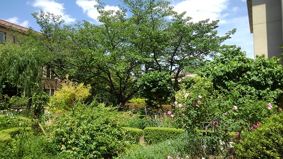 190521 大学 (5) 190521 大学 (5)