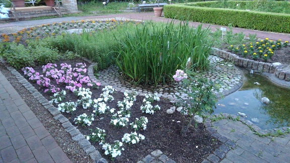 190524 大学 (8) 190524 大学 (8)