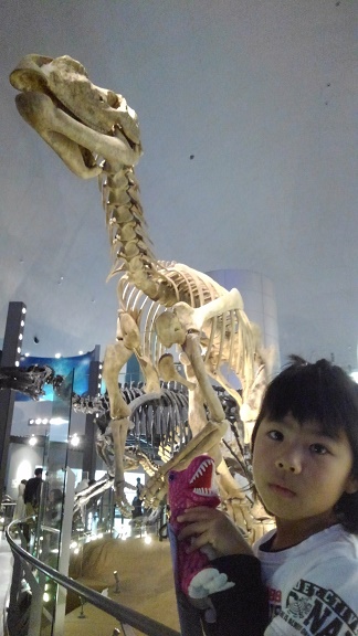 200104 福井恐竜博物館 (24) 200104 福井恐竜博物館 (24)