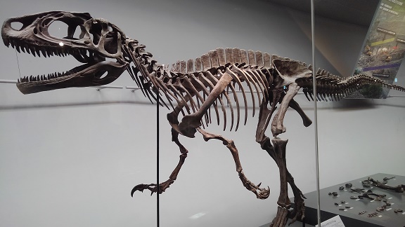 200104 福井恐竜博物館 (24) 200104 福井恐竜博物館 (24)